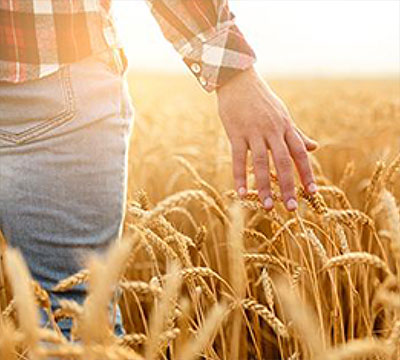 Agriculture